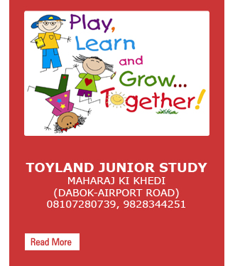 Toyland Junior Study